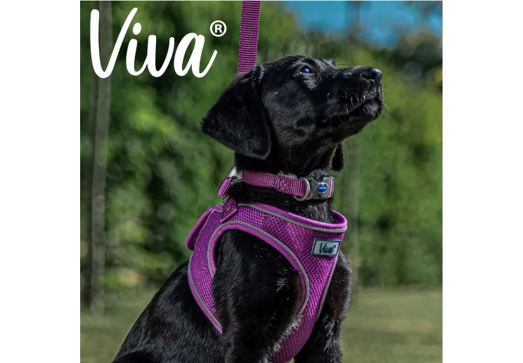 Ancol - Viva Nylon Adjustable Collar - Blue - Small (20-30cm)