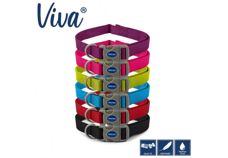 Ancol - Viva Nylon Adjustable Collar - Blue - Small (20-30cm)