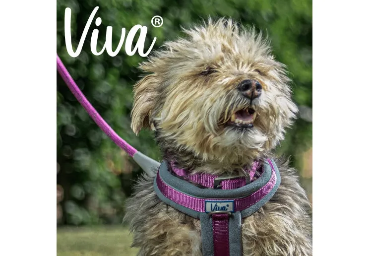 Ancol - Viva Nylon Adjustable Collar - Pink - Large (45-70cm)