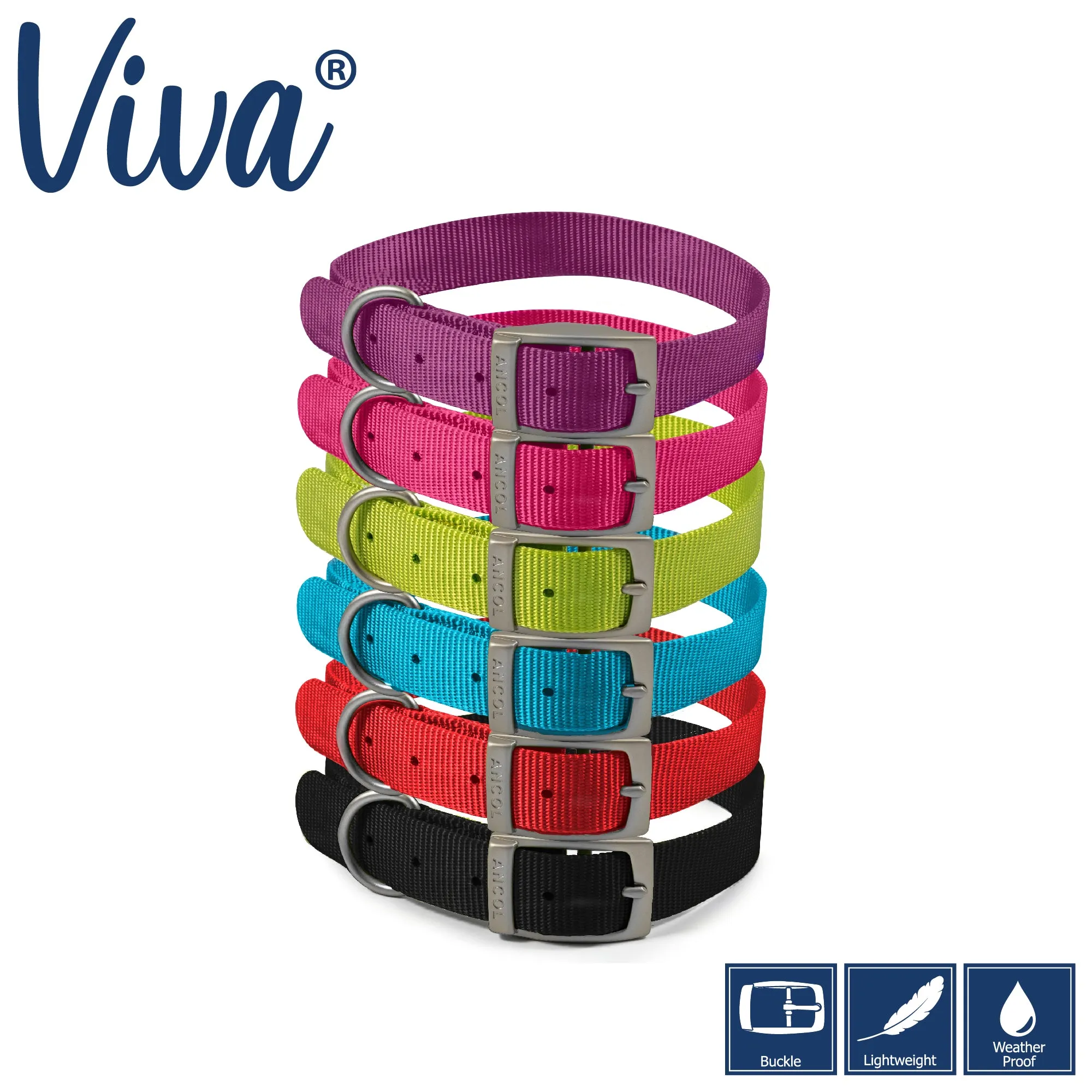 Ancol - Viva Nylon Buckle Collar - Black - Size 1 (20-26cm)