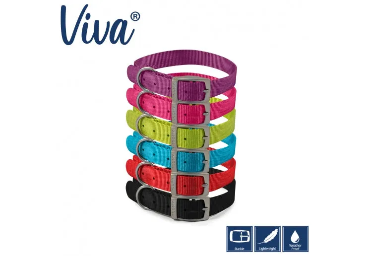 Ancol - Viva Nylon Buckle Collar - Lime - Size 1 (20-26cm)