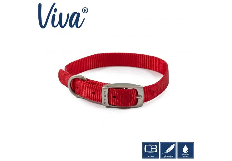 Ancol - Viva Nylon Buckle Collar - Lime - Size 3 (28-36cm)