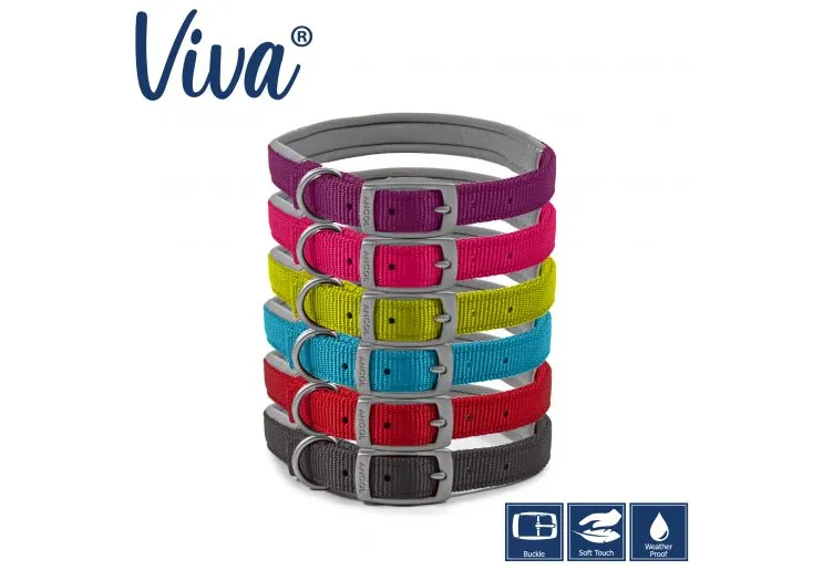 Ancol - Viva Nylon Padded Buckle Collar - Blue - Size 6 (45-54cm)