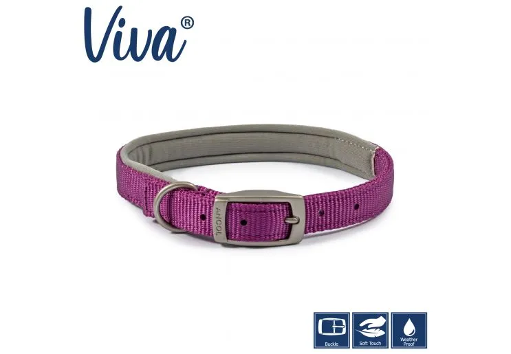 Ancol - Viva Nylon Padded Buckle Collar - Purple - Size 8 (55-63cm)