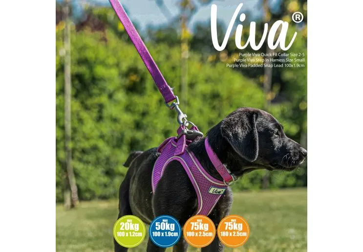 Ancol - Viva Nylon Padded Snap Lead - Black - 100cm x 25mm (Max 75kg)