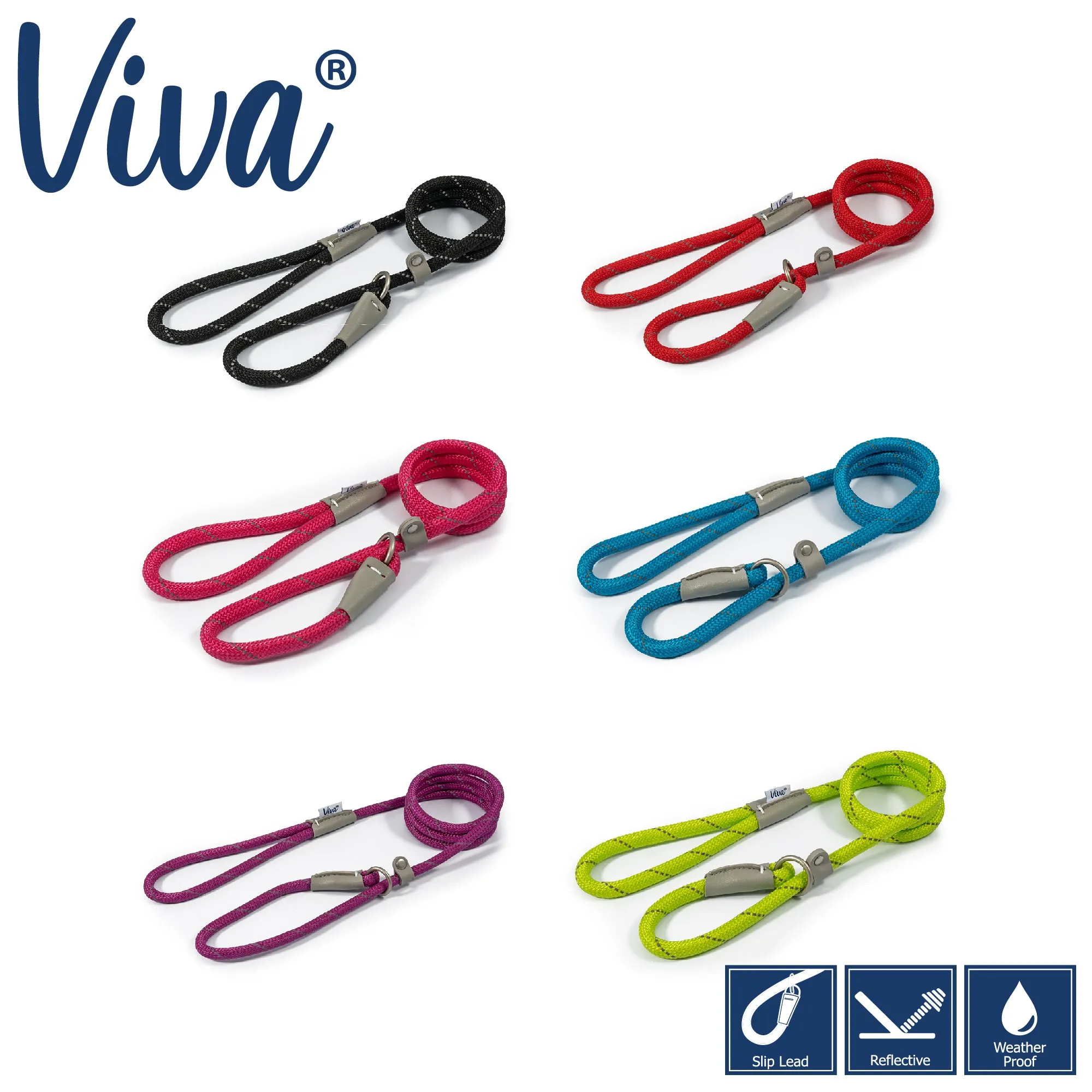 Ancol - Viva Nylon Reflective Rope Slip Lead - Blue - 120cm x 10mm (max 30kg)