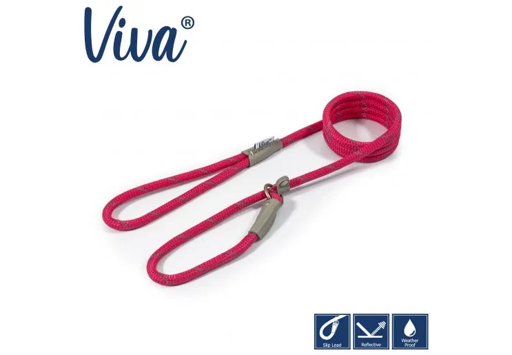 Ancol - Viva Nylon Reflective Rope Slip Lead - Blue - 150cm x 12mm (Max50kg)