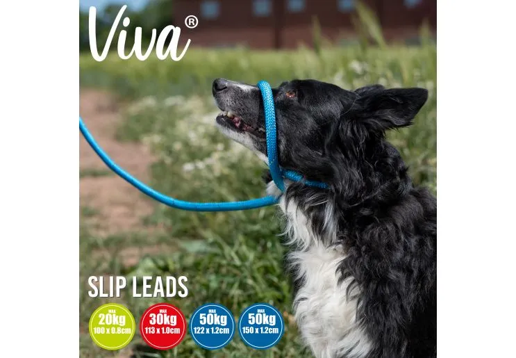 Ancol - Viva Nylon Reflective Rope Slip Lead - Blue - 150cm x 12mm (Max50kg)