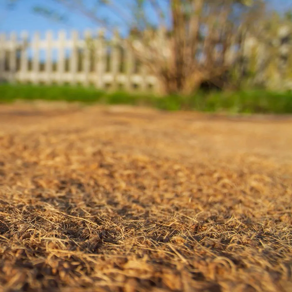 Coir Matting