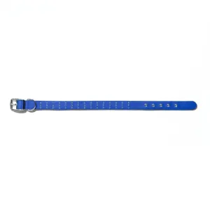 Gummi Bling Large Blue Dog Collar***