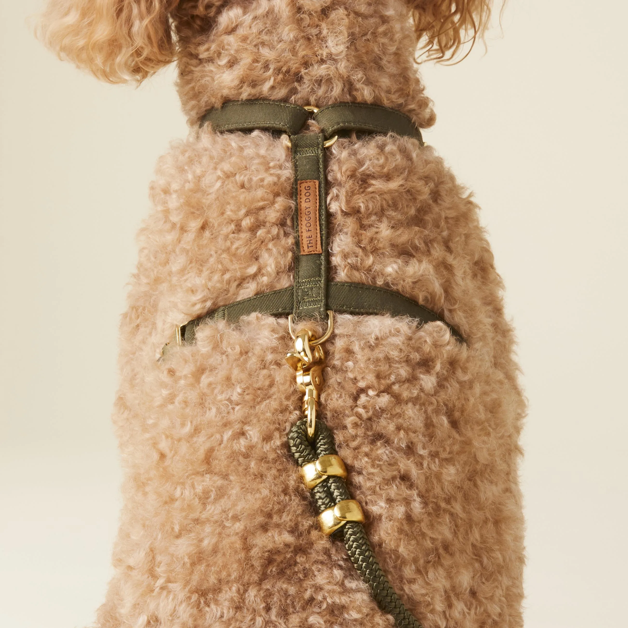 Olive Harness Walk Set