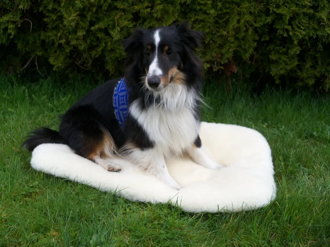 Sheep Wool Pet Mats