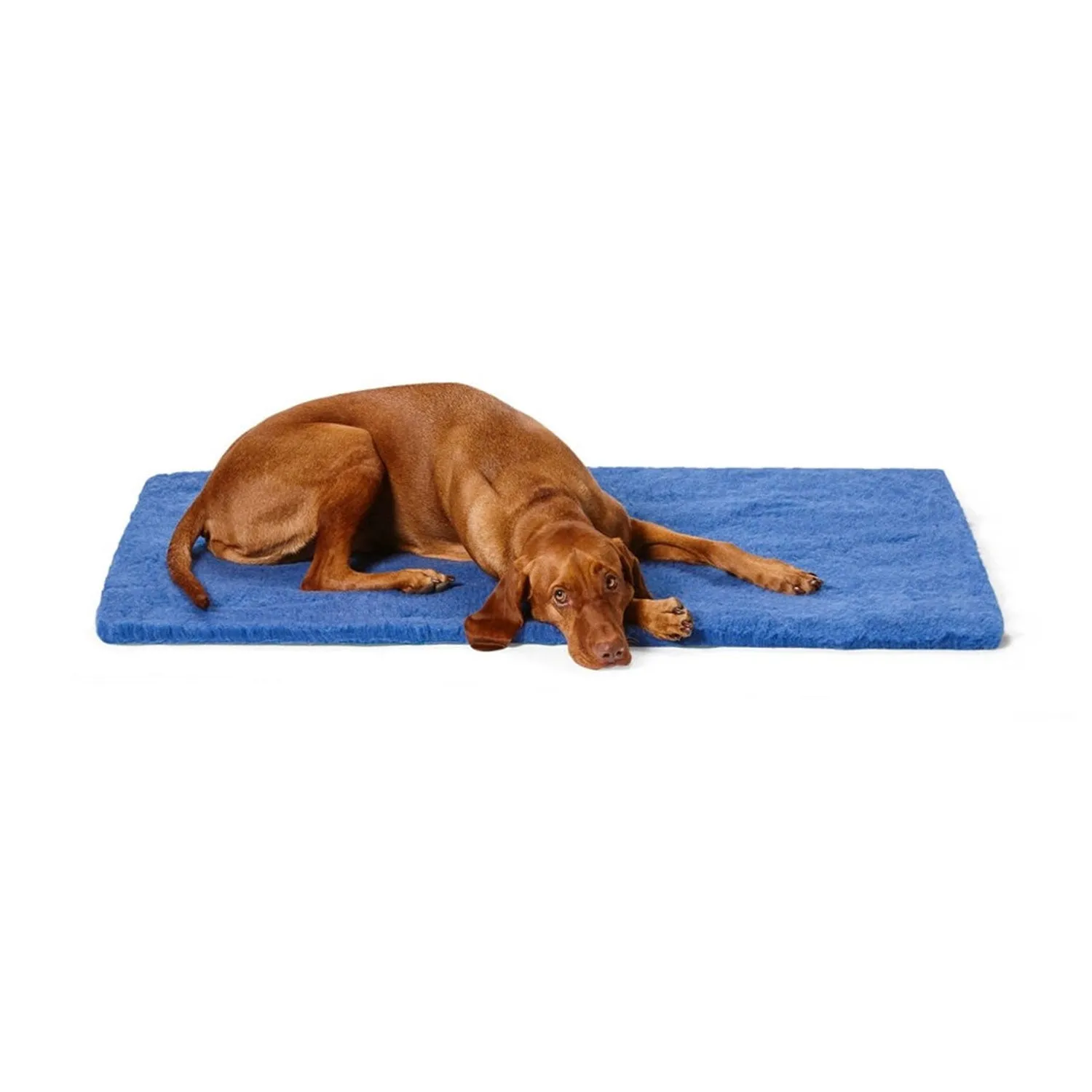 Snooza Stay Dry Mat Blue